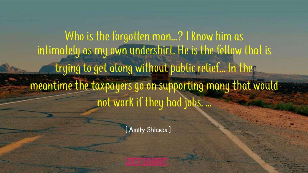 Taxpayers quotes by Amity Shlaes