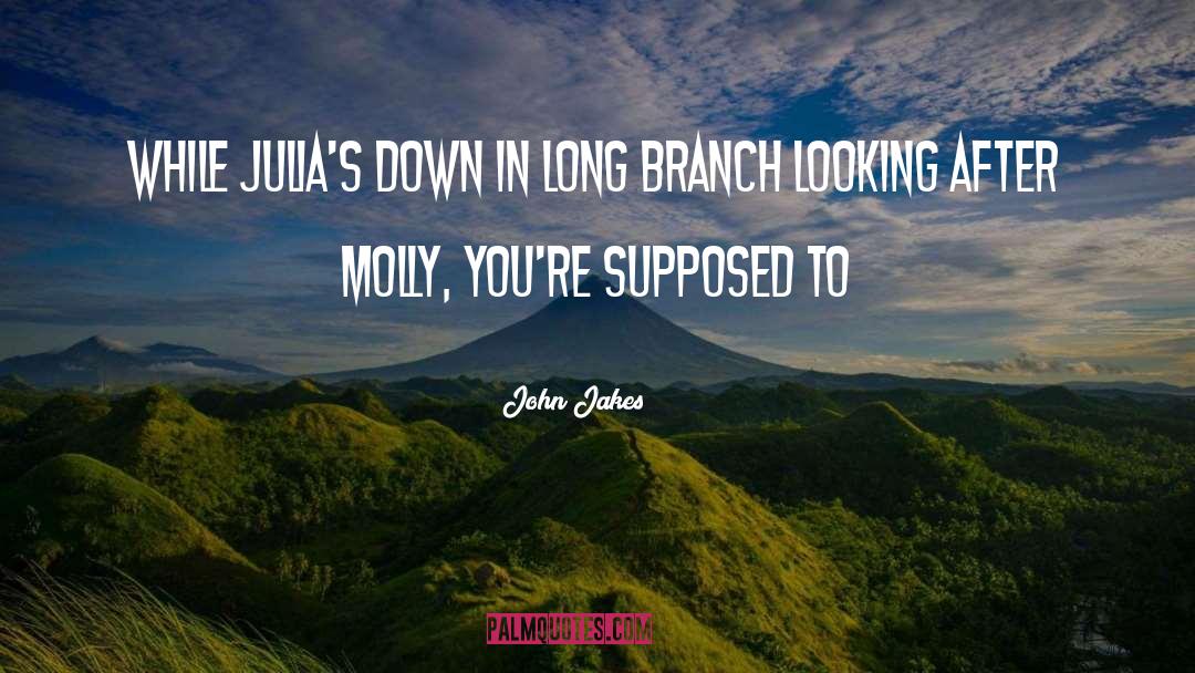 Td Jakes quotes by John Jakes