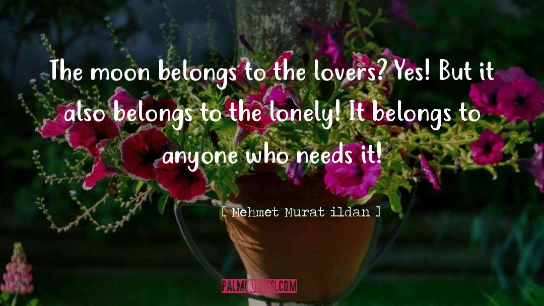 Tea Lovers quotes by Mehmet Murat Ildan