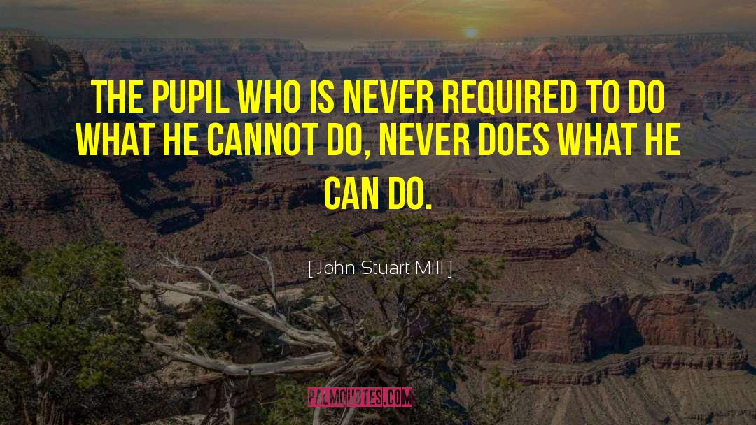 Teach Children quotes by John Stuart Mill