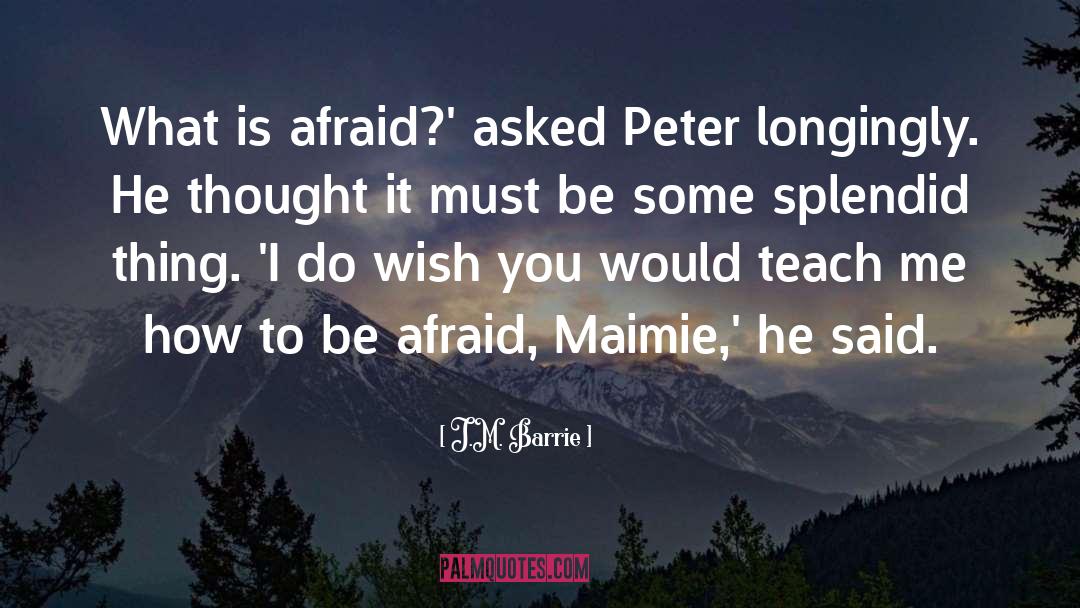 Teach Me quotes by J.M. Barrie