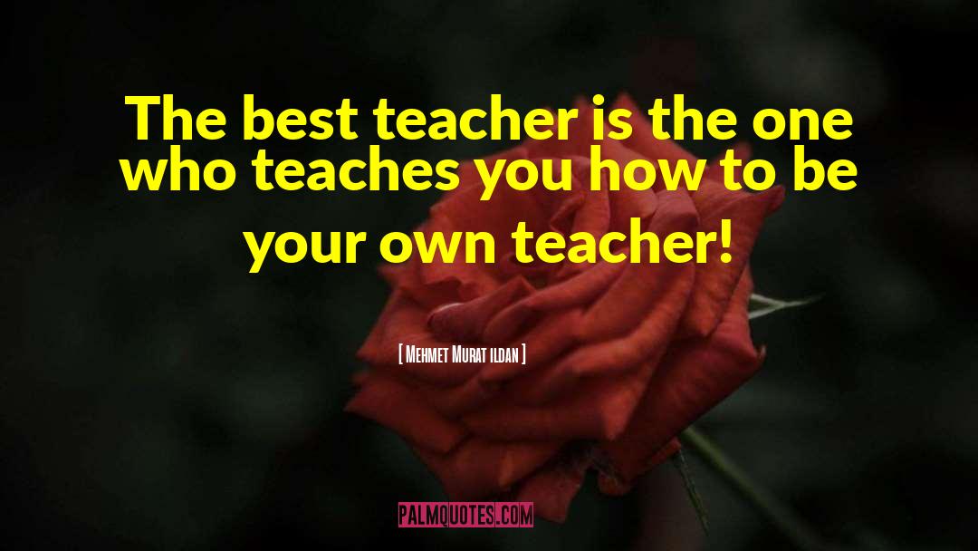Teachers Need Other Teachers Quote quotes by Mehmet Murat Ildan