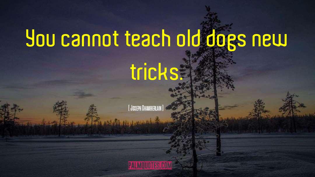 Teaching An Old Dog New Tricks quotes by Joseph Chamberlain