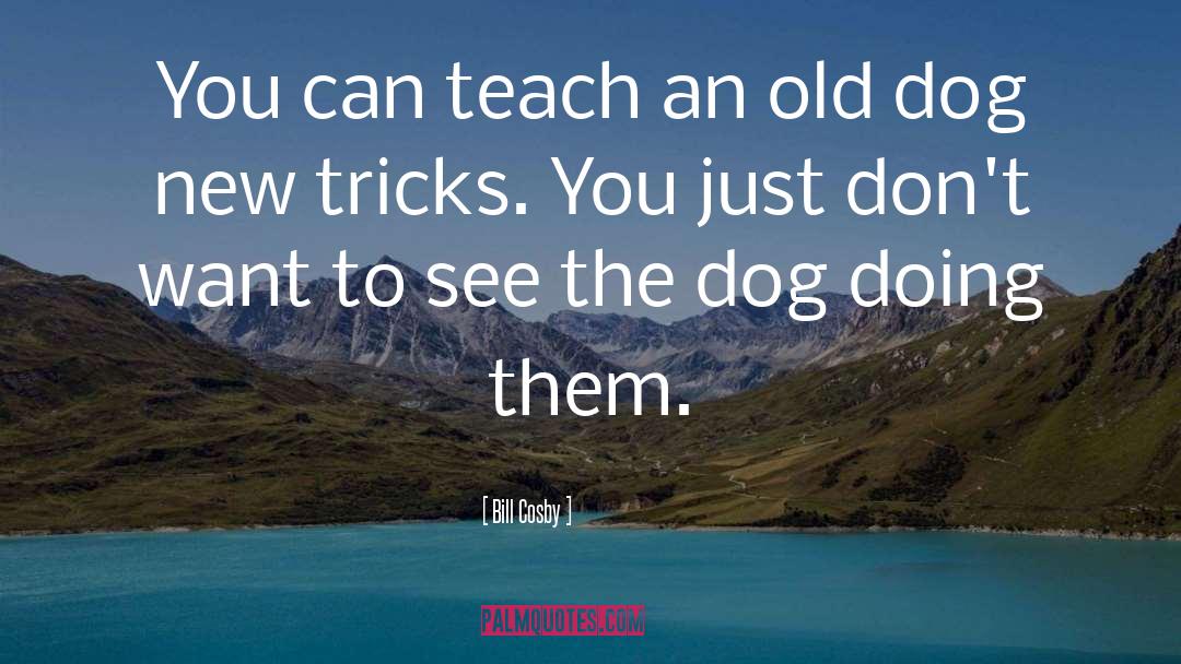 Teaching An Old Dog New Tricks quotes by Bill Cosby