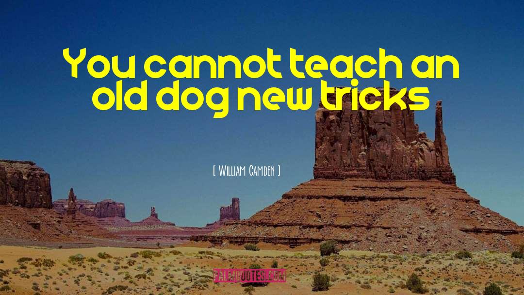 Teaching An Old Dog New Tricks quotes by William Camden