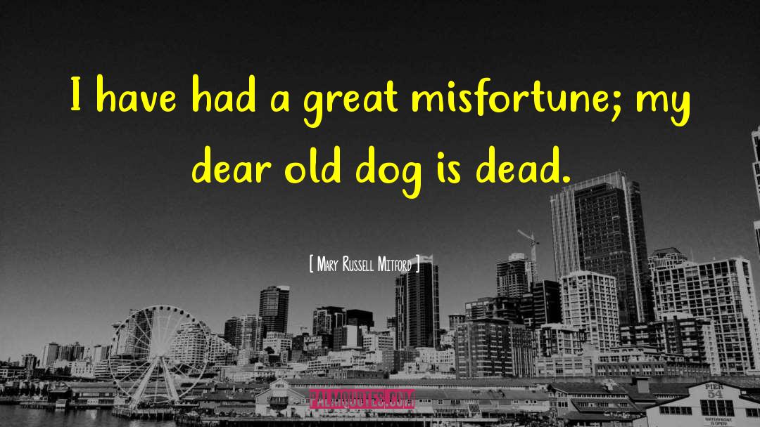 Teaching An Old Dog New Tricks quotes by Mary Russell Mitford