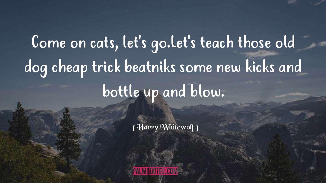 Teaching An Old Dog New Tricks quotes by Harry Whitewolf