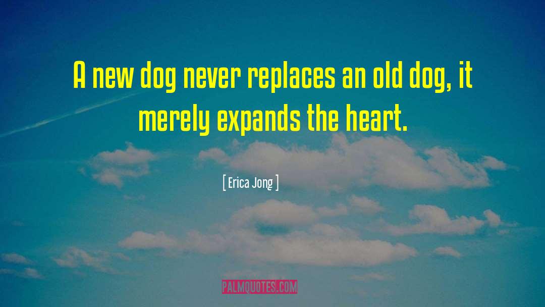 Teaching An Old Dog New Tricks quotes by Erica Jong