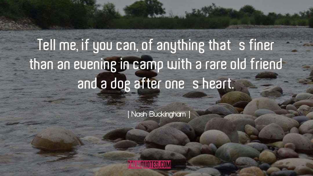 Teaching An Old Dog New Tricks quotes by Nash Buckingham