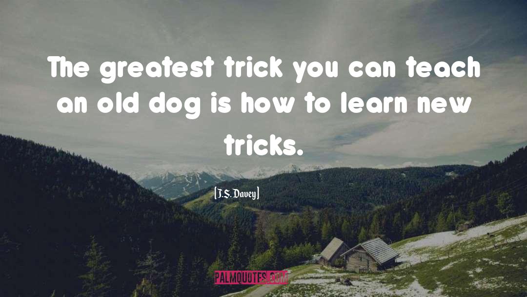 Teaching An Old Dog New Tricks quotes by J.S. Davey