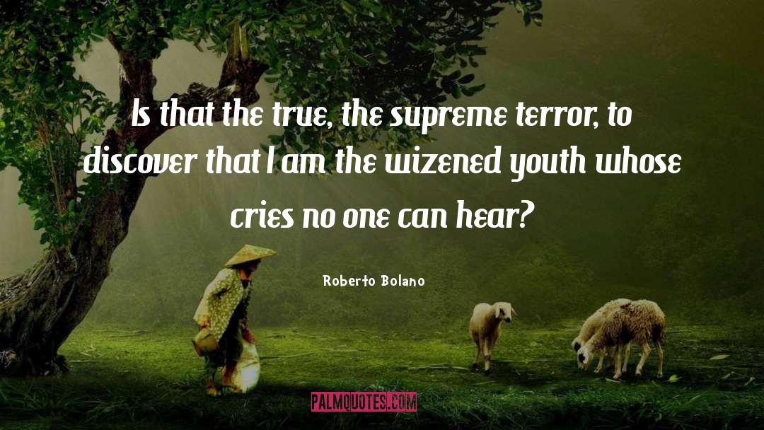 Teaching Youth quotes by Roberto Bolano