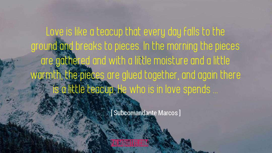 Teacup quotes by Subcomandante Marcos