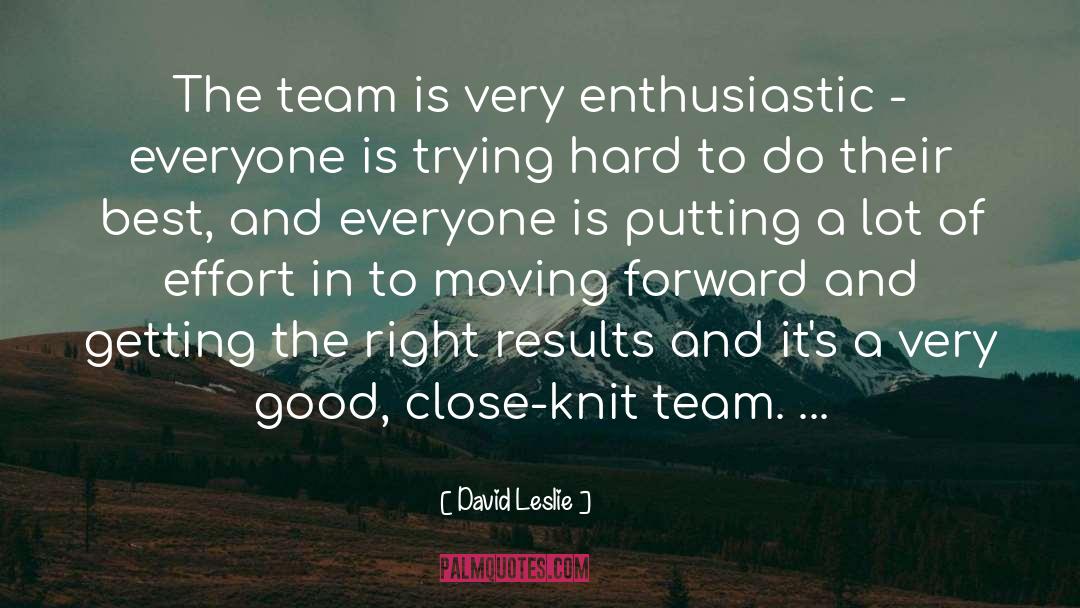 Team Effort Myth quotes by David Leslie