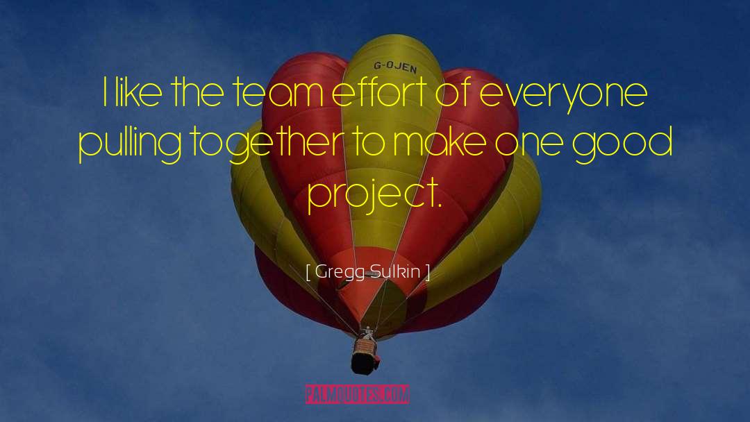 Team Effort quotes by Gregg Sulkin