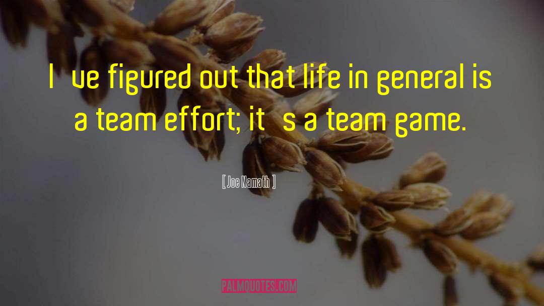 Team Effort quotes by Joe Namath