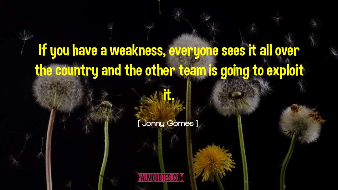 Team Internet quotes by Jonny Gomes
