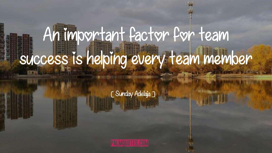 Team Member quotes by Sunday Adelaja