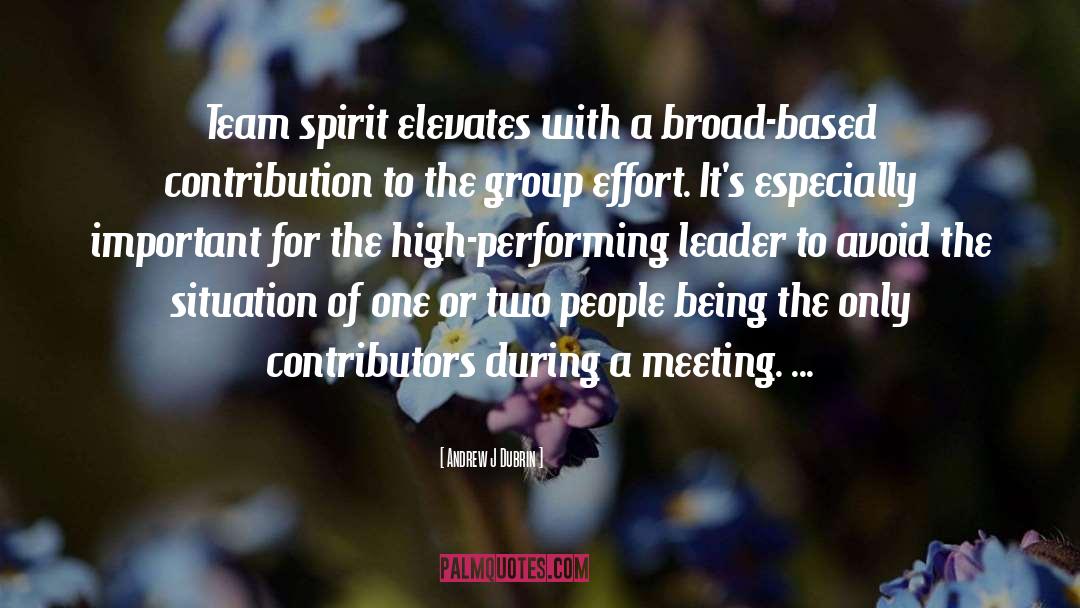 Team Spirit quotes by Andrew J Dubrin