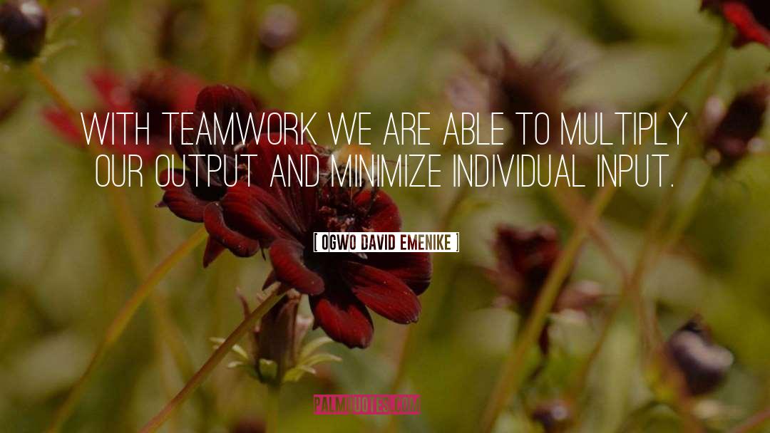 Teamwork quotes by Ogwo David Emenike
