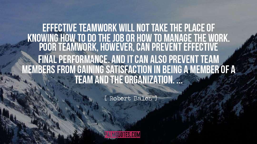 Teamwork quotes by Robert Bales