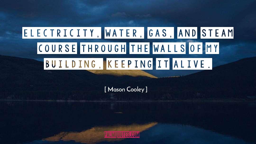 Teardown Steam quotes by Mason Cooley