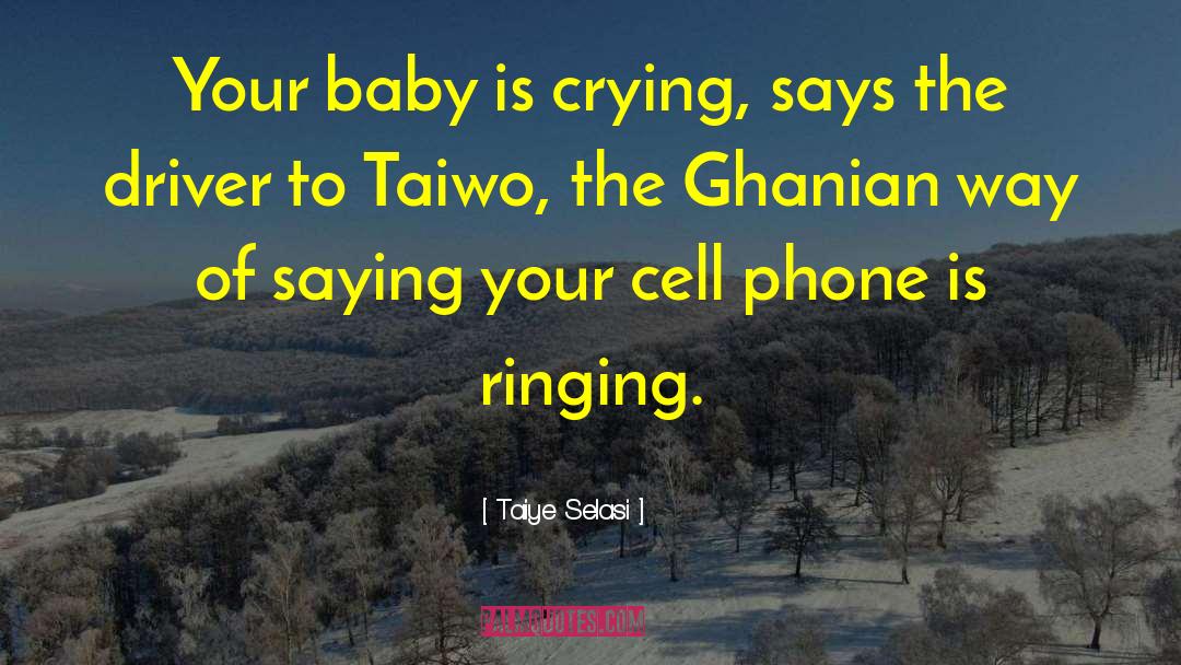 Tears Crying quotes by Taiye Selasi
