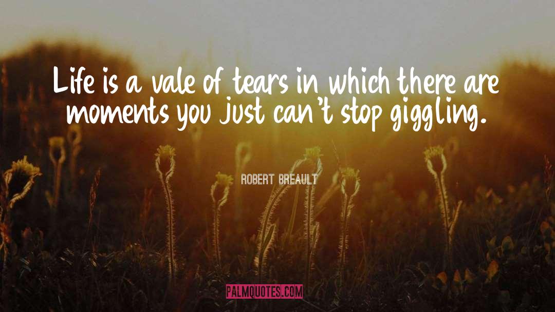 Tears Crying quotes by Robert Breault