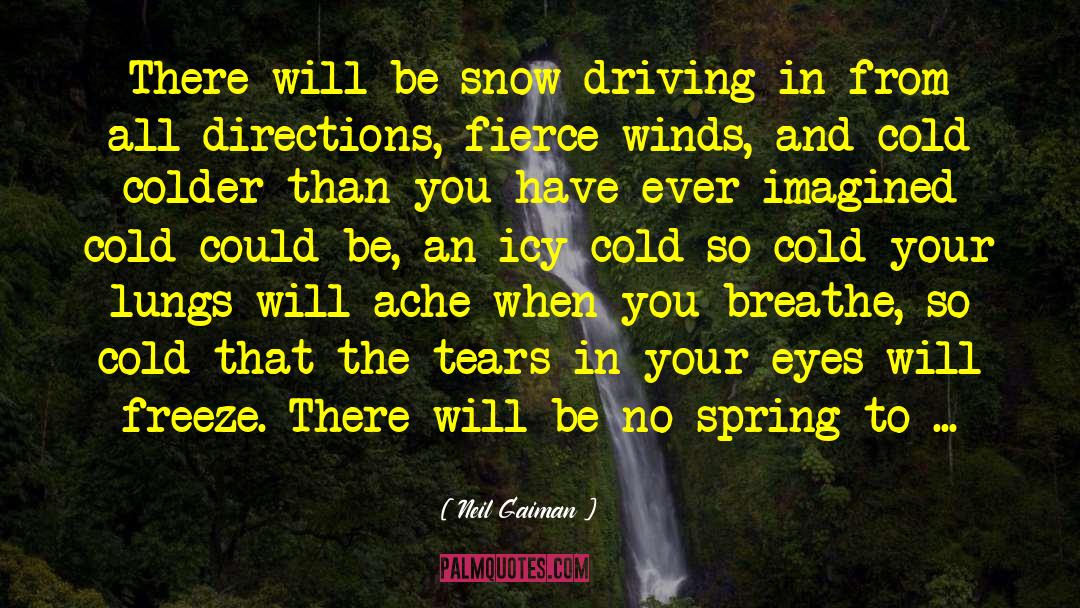 Tears In Your Eyes quotes by Neil Gaiman