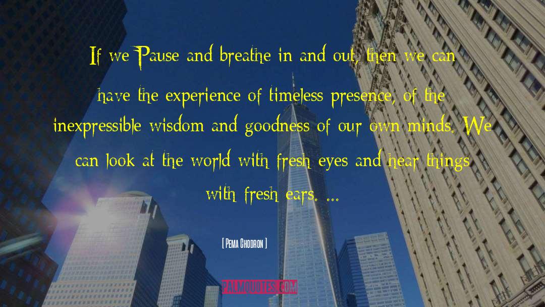 Tears Of Experience quotes by Pema Chodron