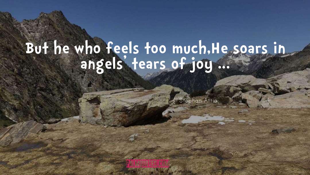 Tears Of Joy quotes by Stephan Attia