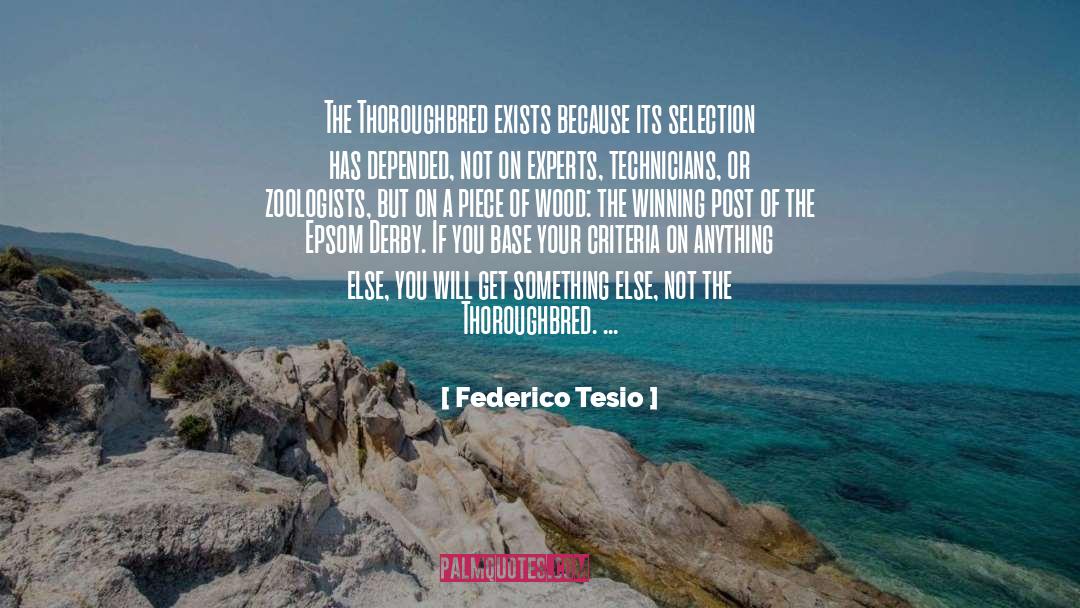Technicians quotes by Federico Tesio