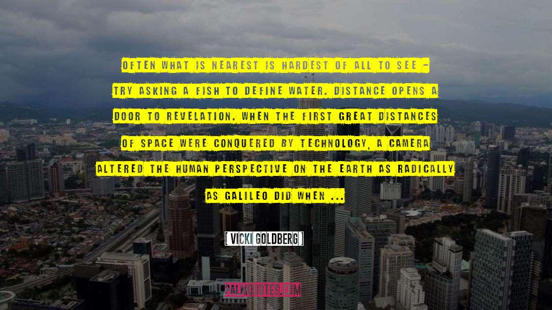 Technology Existential Risks quotes by Vicki Goldberg