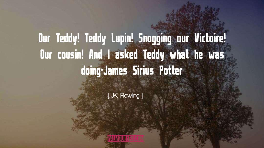 Teddy quotes by J.K. Rowling