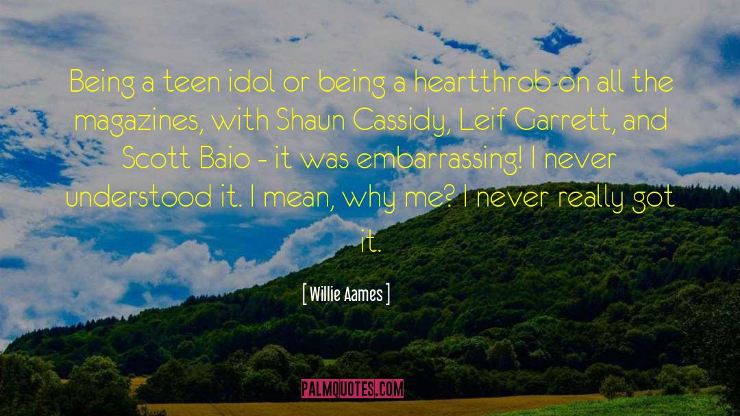 Teen Idol quotes by Willie Aames