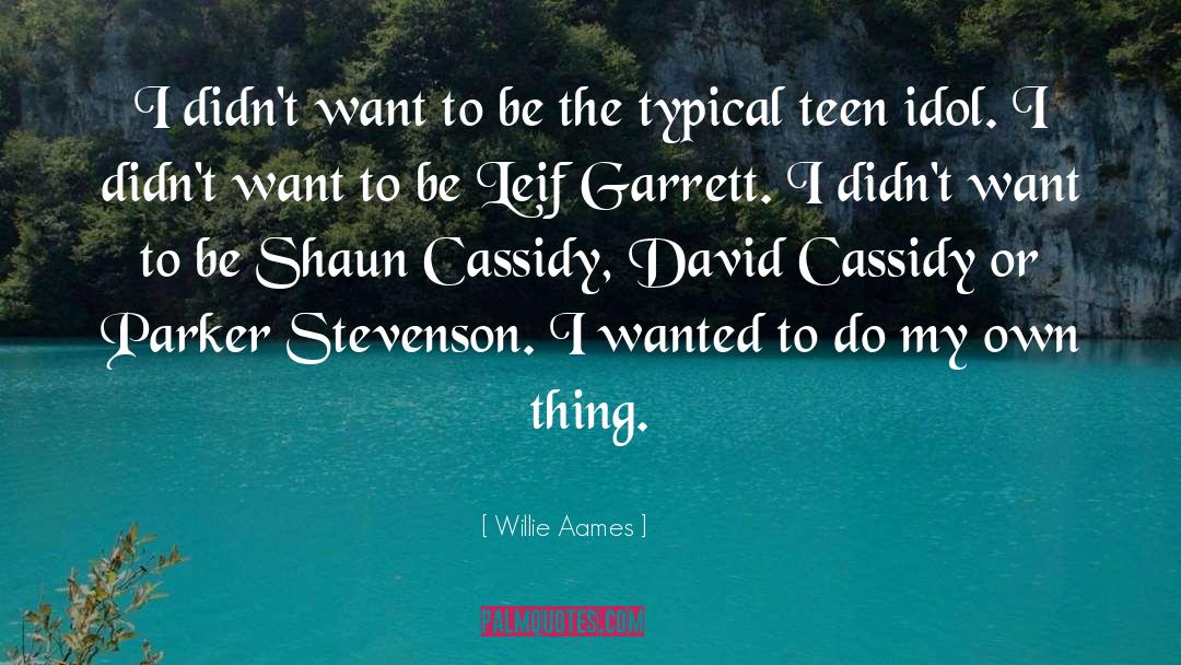 Teen Idol quotes by Willie Aames