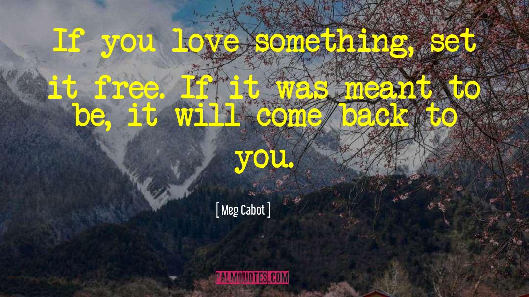 Teen Love quotes by Meg Cabot
