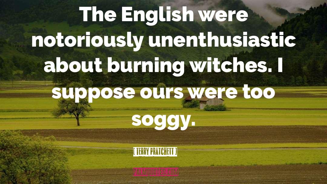 Teen Witch quotes by Terry Pratchett