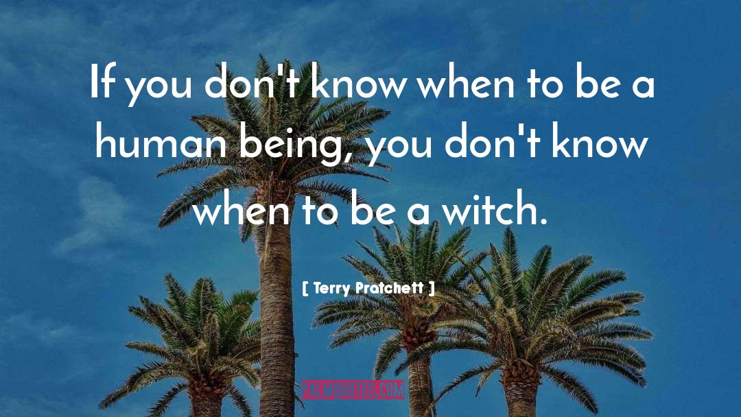 Teen Witch quotes by Terry Pratchett