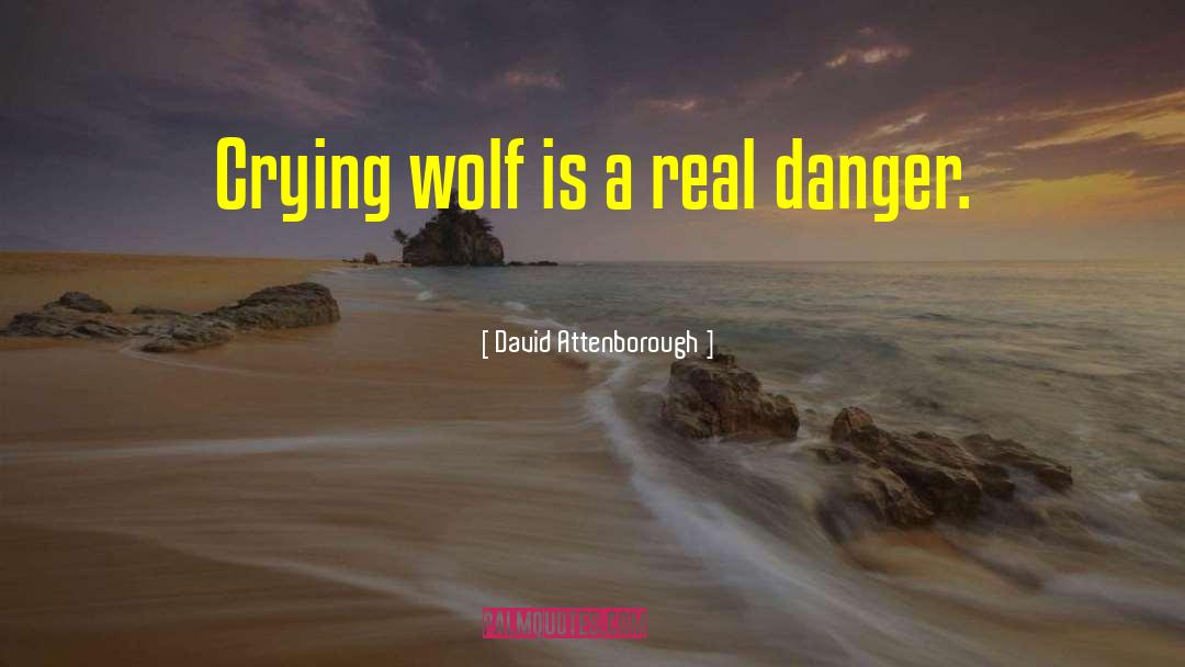 Teen Wolf quotes by David Attenborough