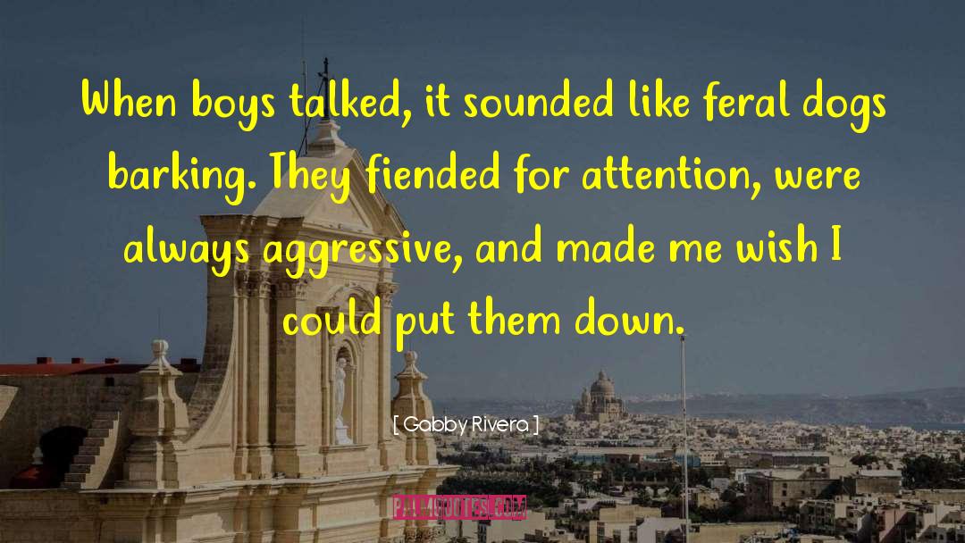 Teenage Boys quotes by Gabby Rivera