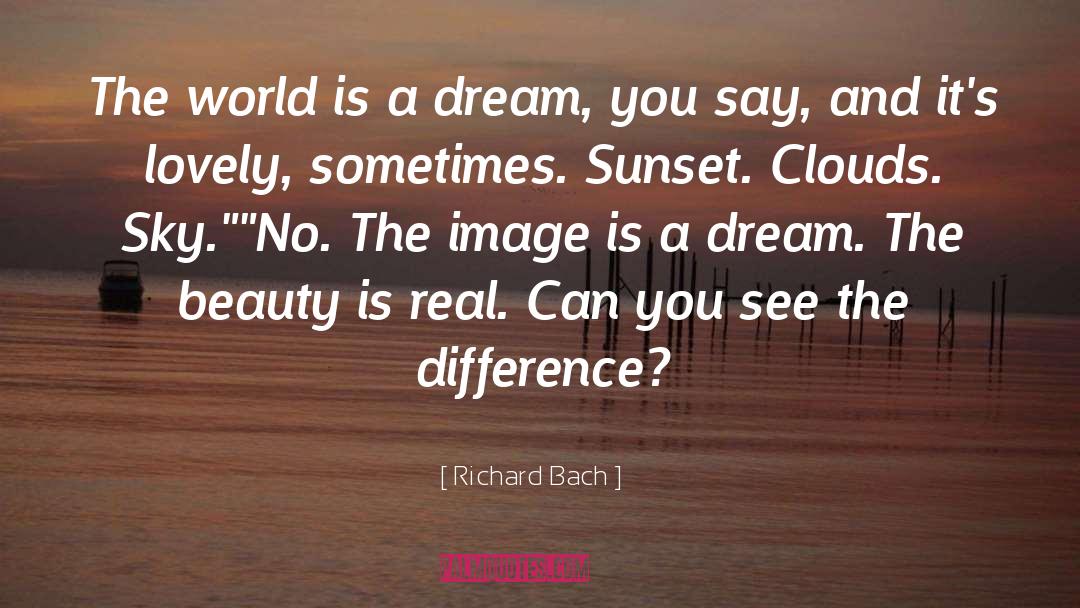 Teenage Dream quotes by Richard Bach