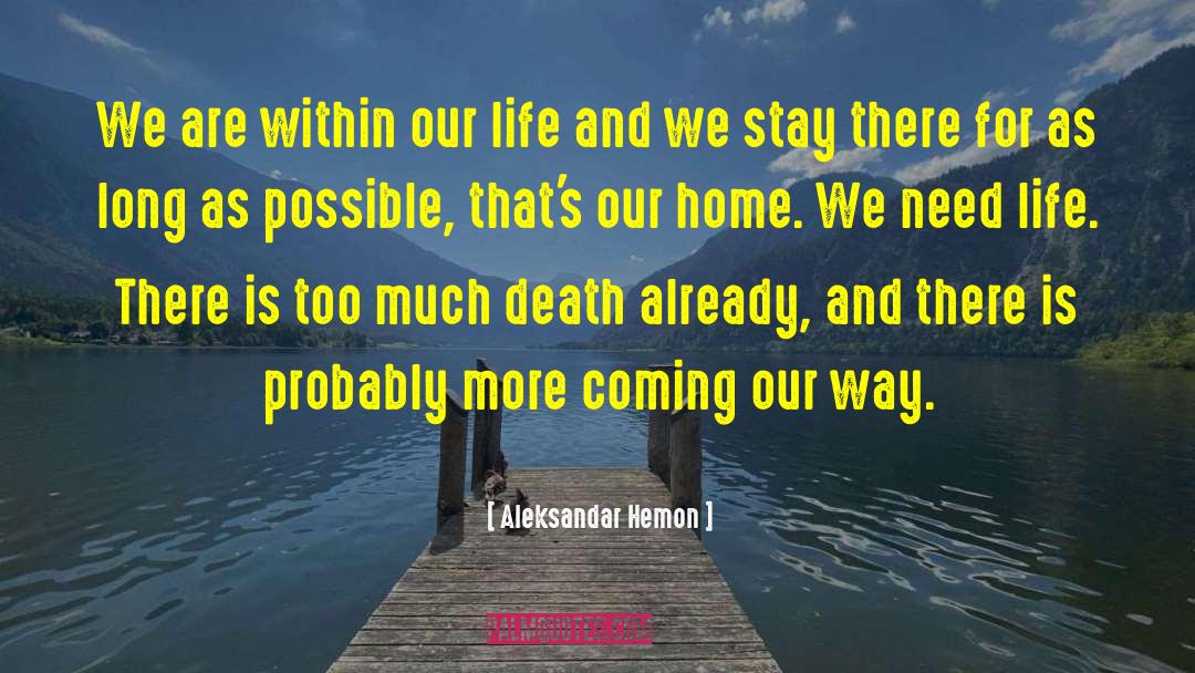 Teenage Life quotes by Aleksandar Hemon