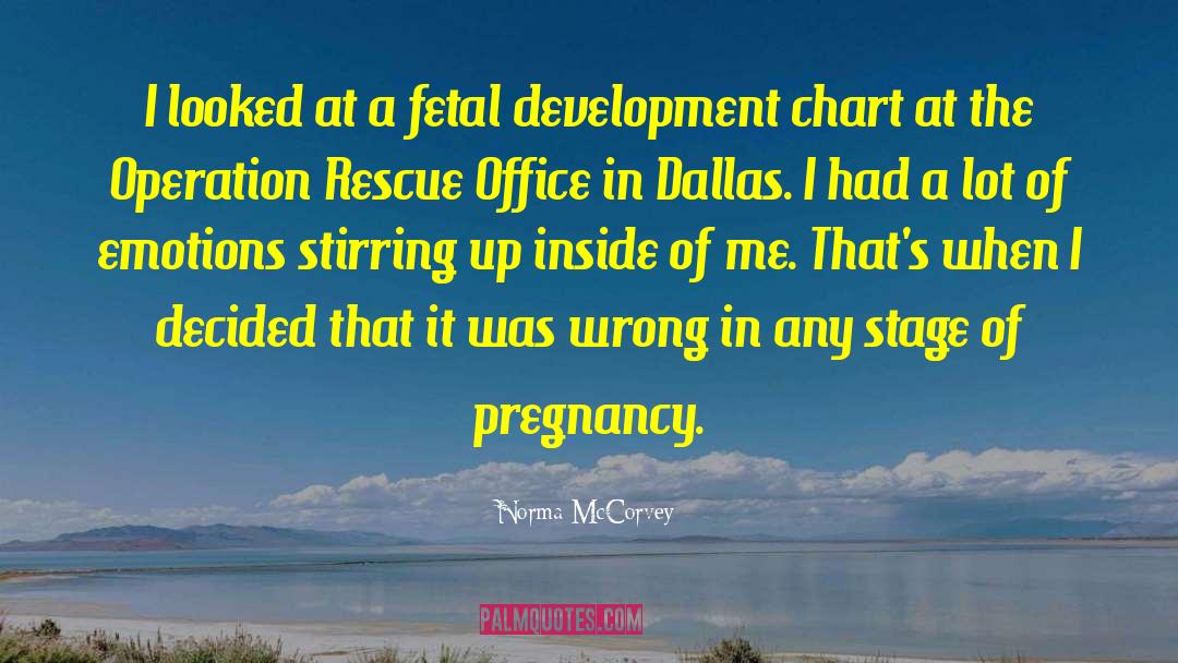 Teenage Pregnancy quotes by Norma McCorvey