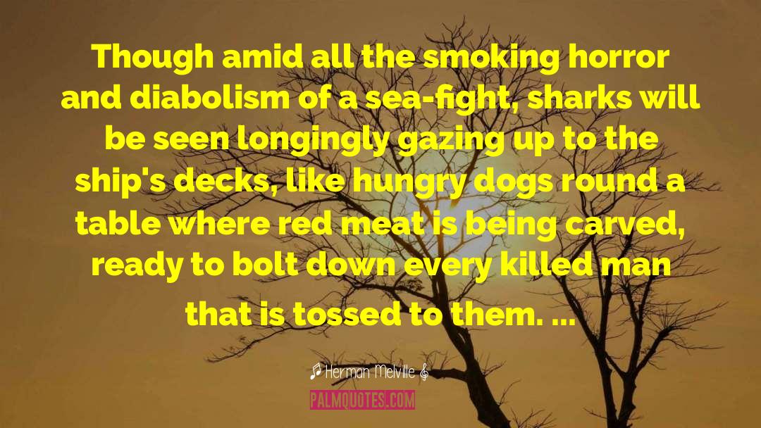 Teenage Smoking quotes by Herman Melville