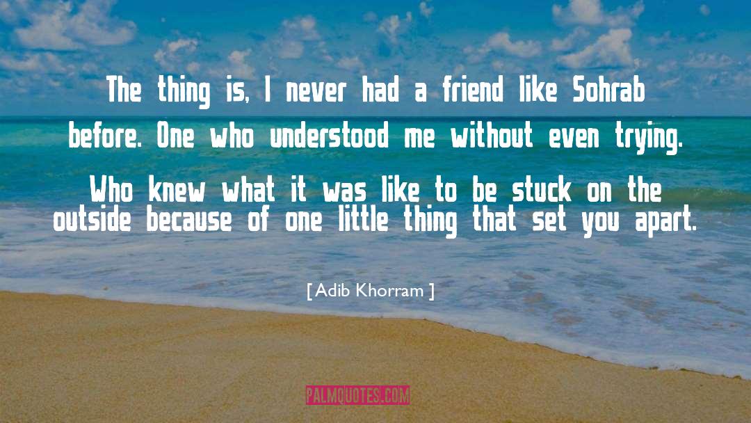 Teenagers quotes by Adib Khorram