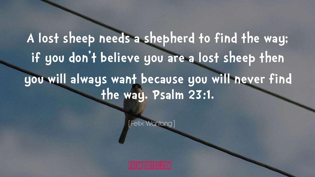 Teesdale Sheep quotes by Felix Wantang