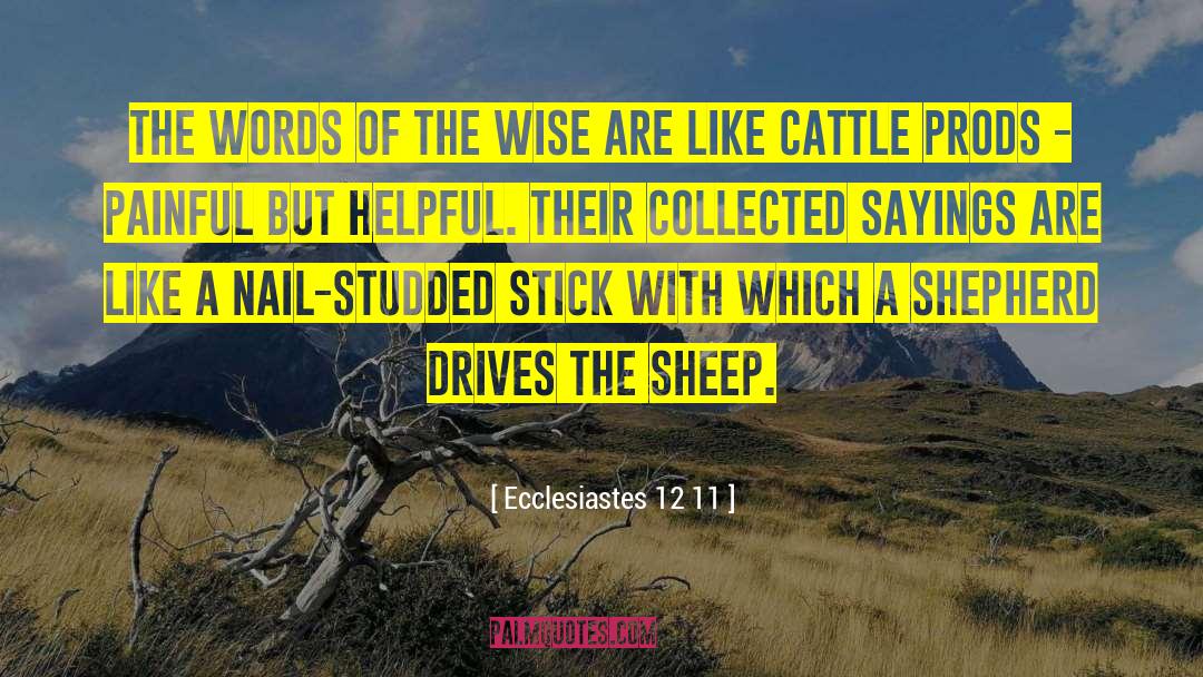 Teesdale Sheep quotes by Ecclesiastes 12 11