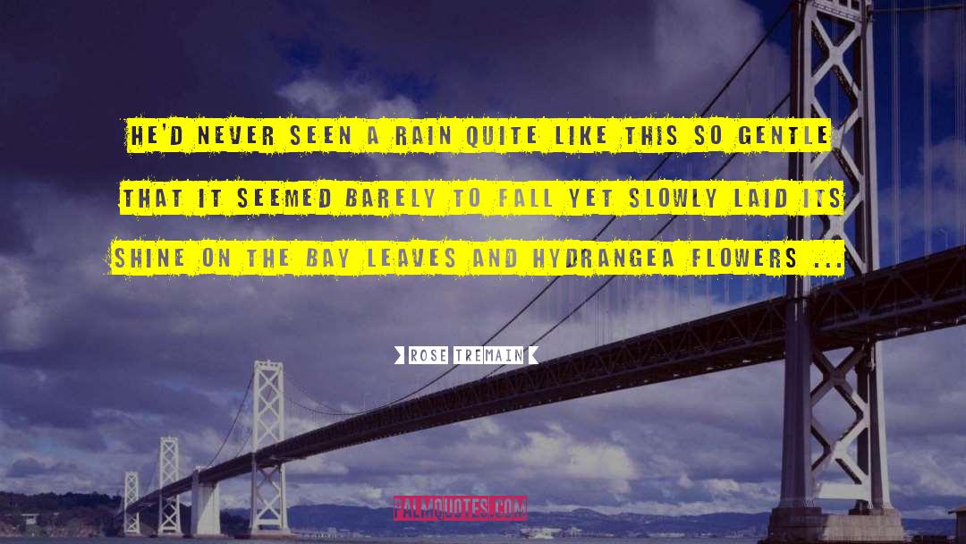 Tegan Rain Quin quotes by Rose Tremain