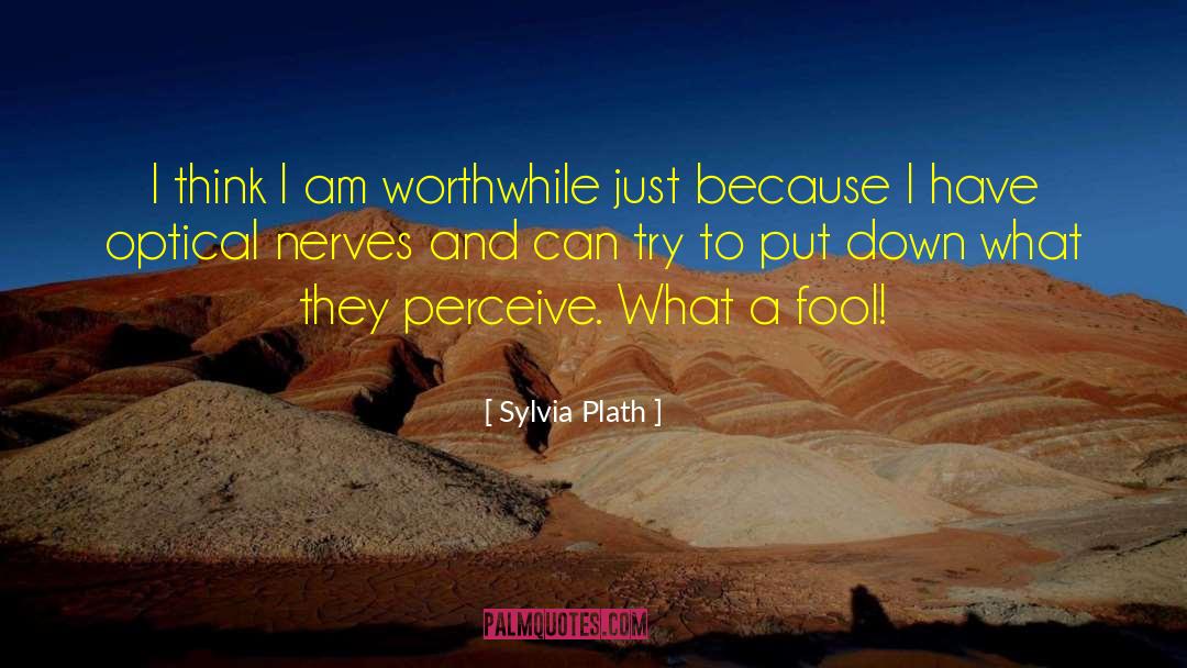 Tegenkamp Optical quotes by Sylvia Plath