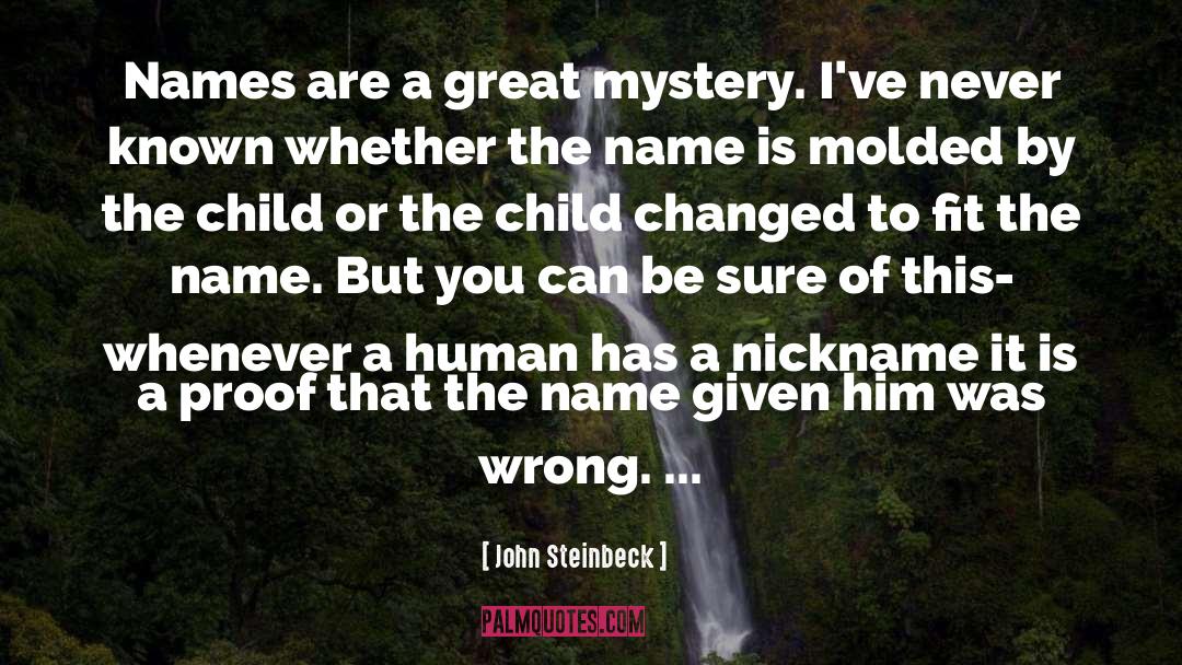 Teigens Nickname quotes by John Steinbeck